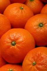 Orange mandarins pack