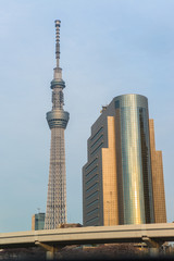 View of Tokyo skyline from Sumida river