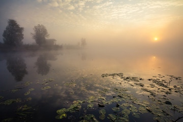 Lake with the fog at sunrise