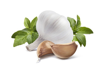 Garlic basil compact group isolated on white