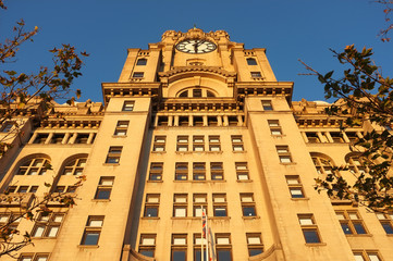 Fototapeta premium Liverpool Liver Building
