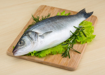 Raw seabass