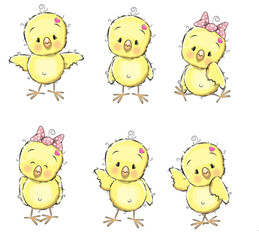 Six chicks