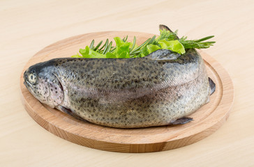 Raw fresh trout