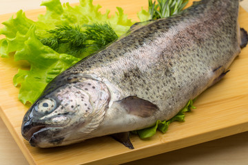 Raw fresh trout