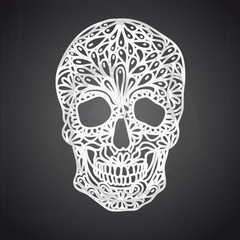 Vector illustration with Hand Drawn Skull. 