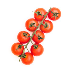 ripe tomatoes on a branch