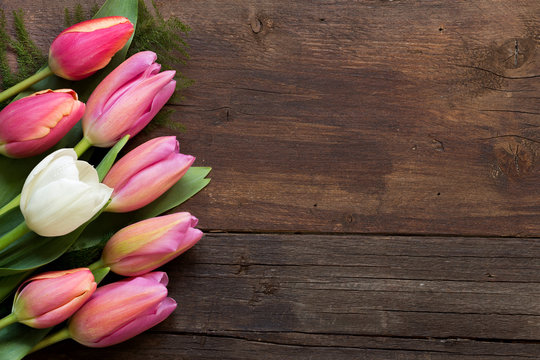 Pink tulips on dark wood background