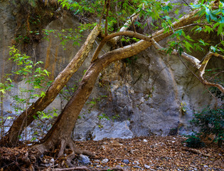 Cave in Crete