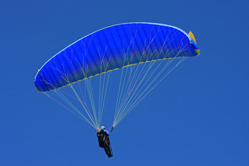 paraglider