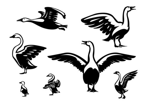 Set of ducks. Vector design elements in the logo style