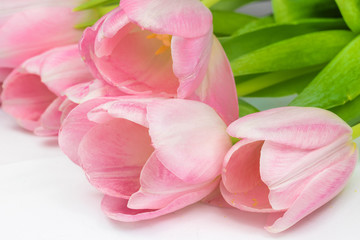 Obraz na płótnie Canvas Bouquet of pink tulips.