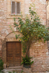 Fototapeta na wymiar Old stone house with plants