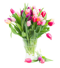 bouquet of multicolored   tulip flowers in white pot