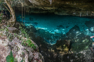 Fototapeta na wymiar Panorama, Snorkeling Cenote cavern at Tulum. Cancun. Traveling T