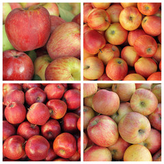collection of red apples cultivars as background