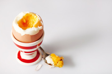 Boiled egg in holder on light background