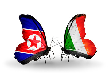 Two butterflies with flags North Korea and  Ireland