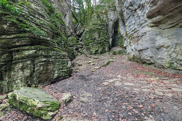 Dry canyon, Sochi caucasian biosphere reserve