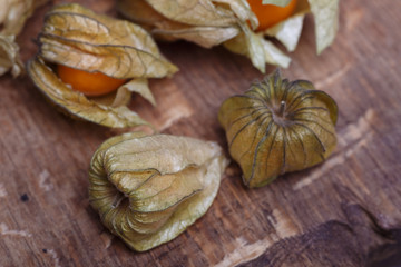 physalis