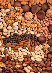Nuts background