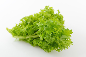 Fototapeta premium 新鮮な野菜