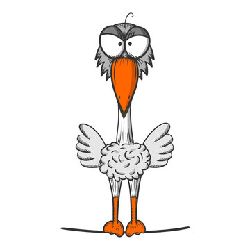 zeichnung boeser vogel II