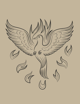 Dove Holyspirit fire, art vector sketch drawing