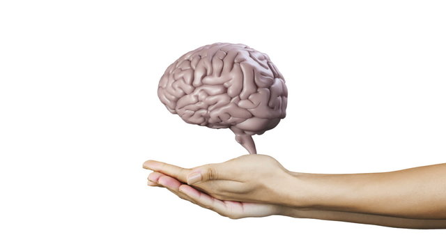 Hand presenting a spinning brain