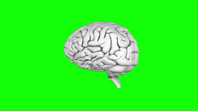 Brain spinning on green screen background