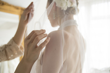 Bride you are over the veil