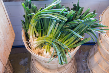Basket of Green Onions