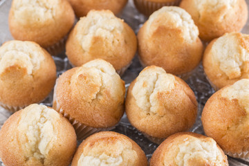Group of cupcakes