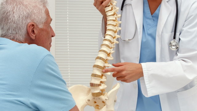 Doctor explaining a spine model to patient