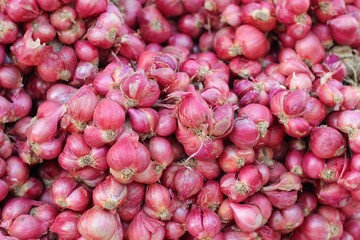 Shallot - asia red onion at the market