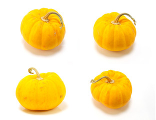 collection of mini pumpkin isolated on a white background
