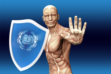 Man with a shield (anatomical vision) are protected from disease