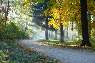 Autumn Landscape the sunbeams