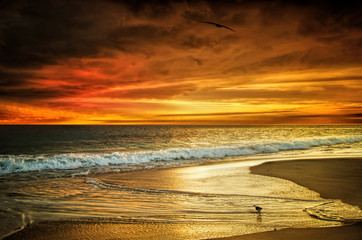 Plakat Western Australian sunset beach