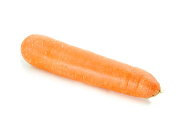 carrot