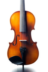 Fototapeta premium Violin