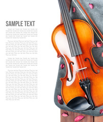 Fototapeta premium Violin