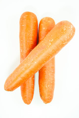 carrot