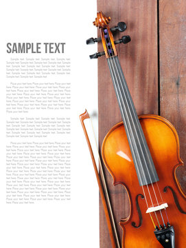Violin
