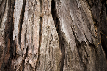 old black wood texture