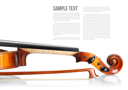 Violin