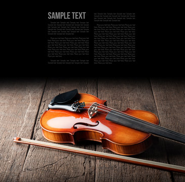 Violin