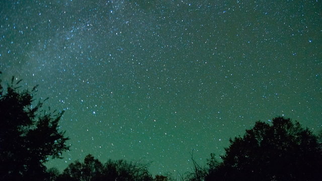 Time lapse of stars moving across sky in front of tree branches