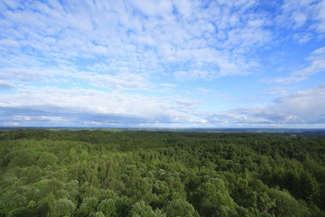 Outlook.