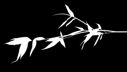 white bamboo one branch isolated on black